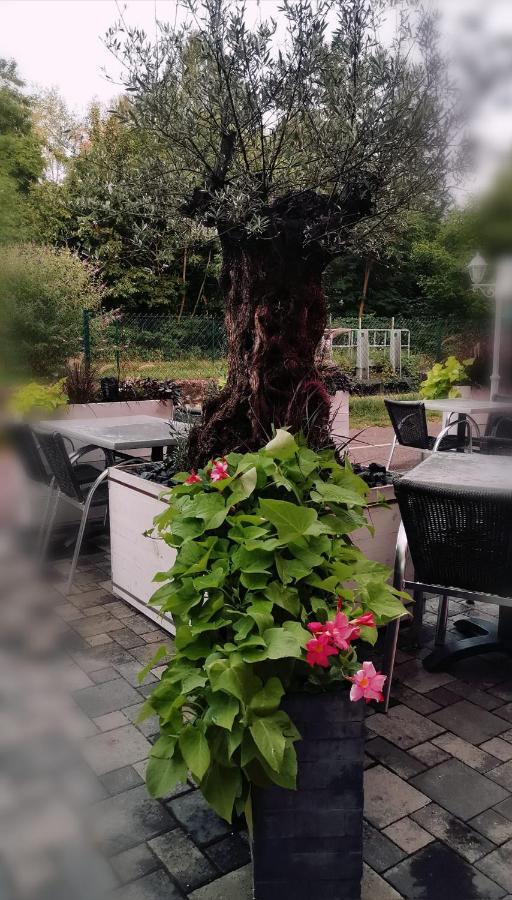 Bed and Breakfast Au Hameau De L'Ecluse Proche Europa-Park Marckolsheim Esterno foto