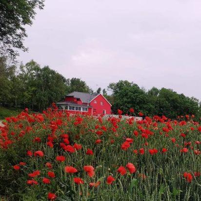 Bed and Breakfast Au Hameau De L'Ecluse Proche Europa-Park Marckolsheim Esterno foto